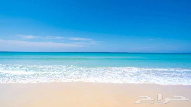 مطلوب غرفه وحمام للايجار64423132659585110