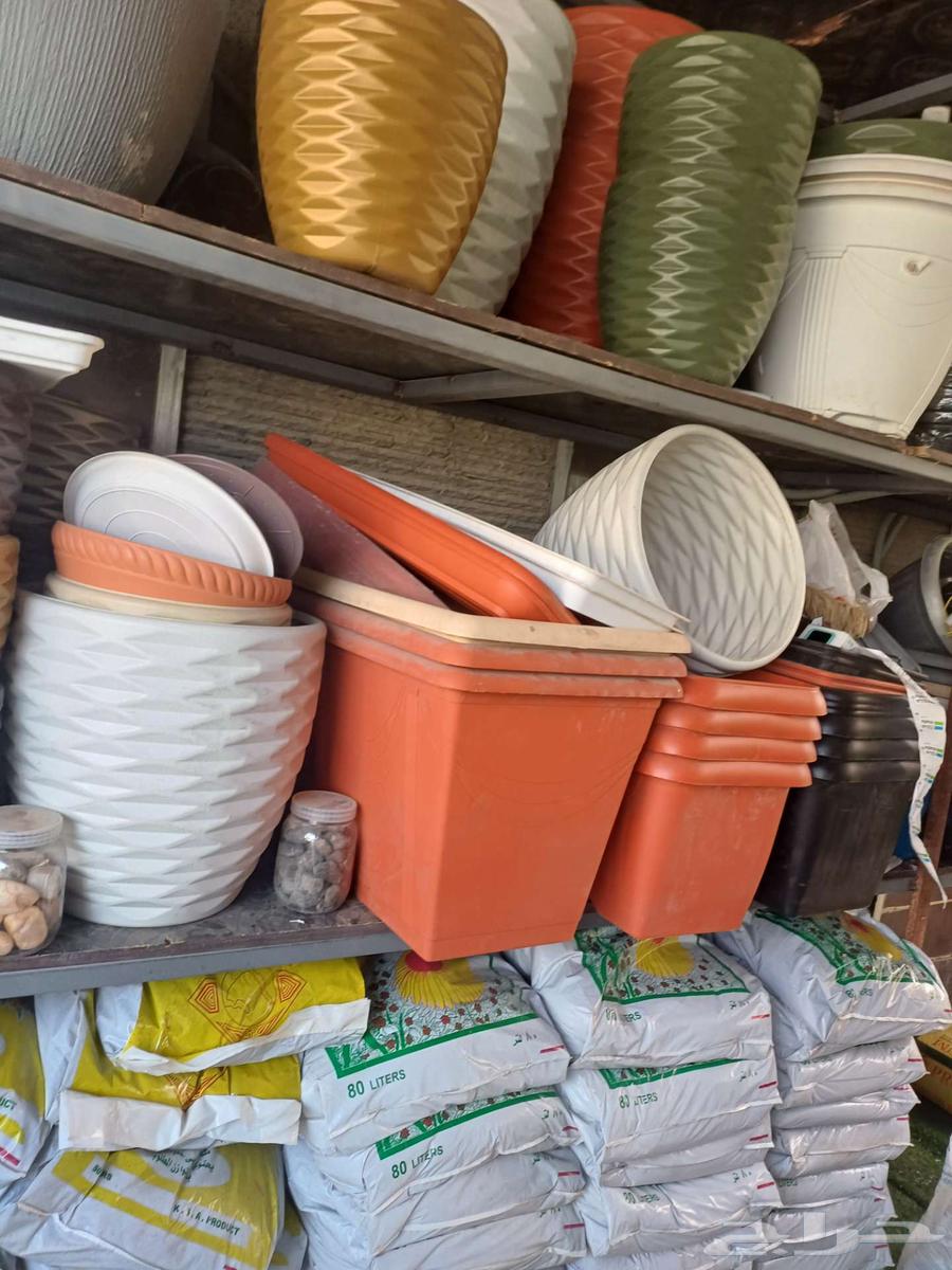 مزارع للحدائق الفلل والاستراحات في العماريه64423036454657111