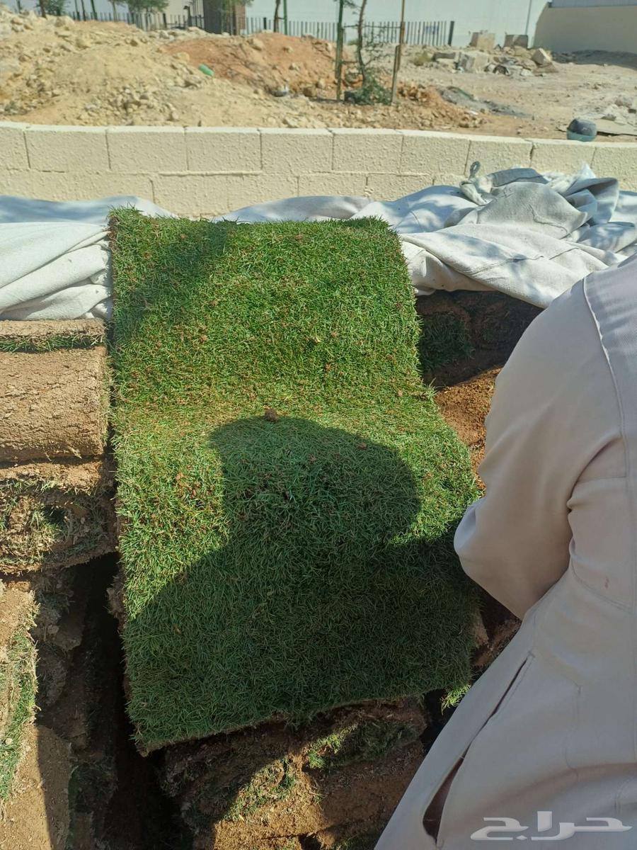 مزارع للحدائق الفلل والاستراحات في العماريه64423036454657113