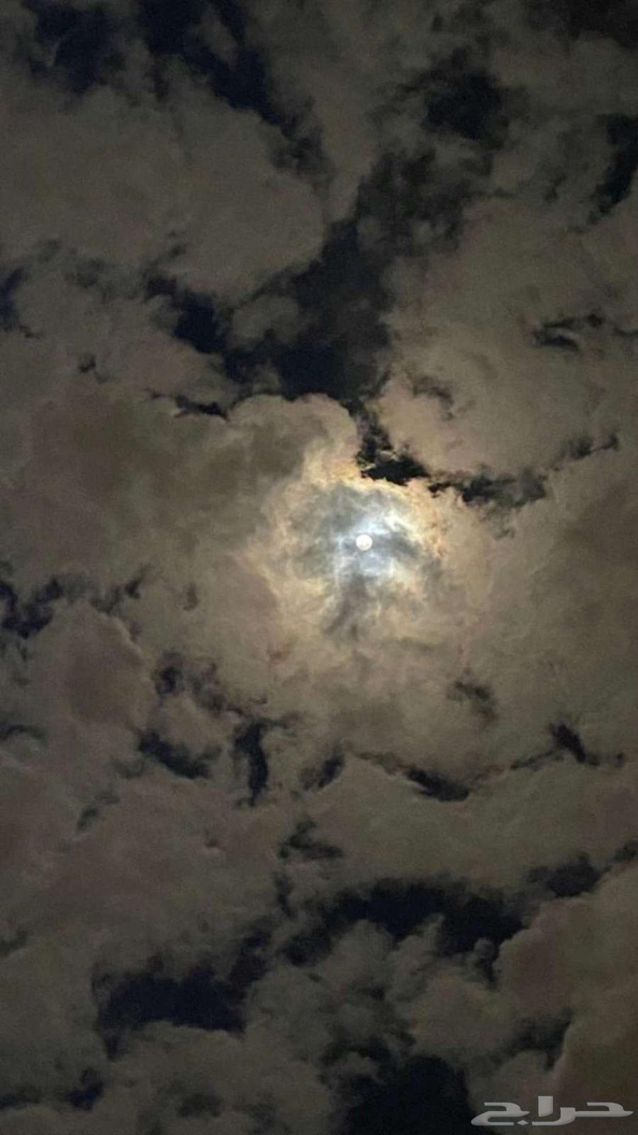 مطلوب فندق او عماره64423354225539110