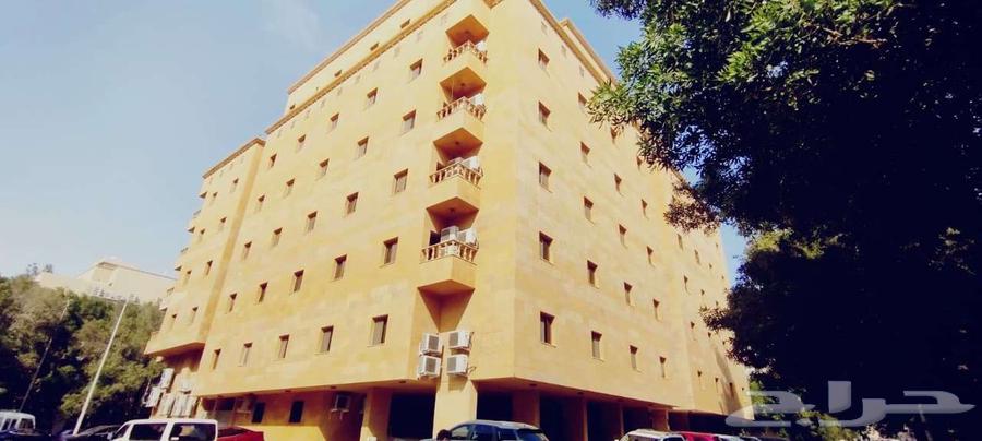 شقة للإيجار