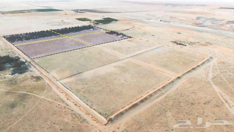 مزرعة للبيع