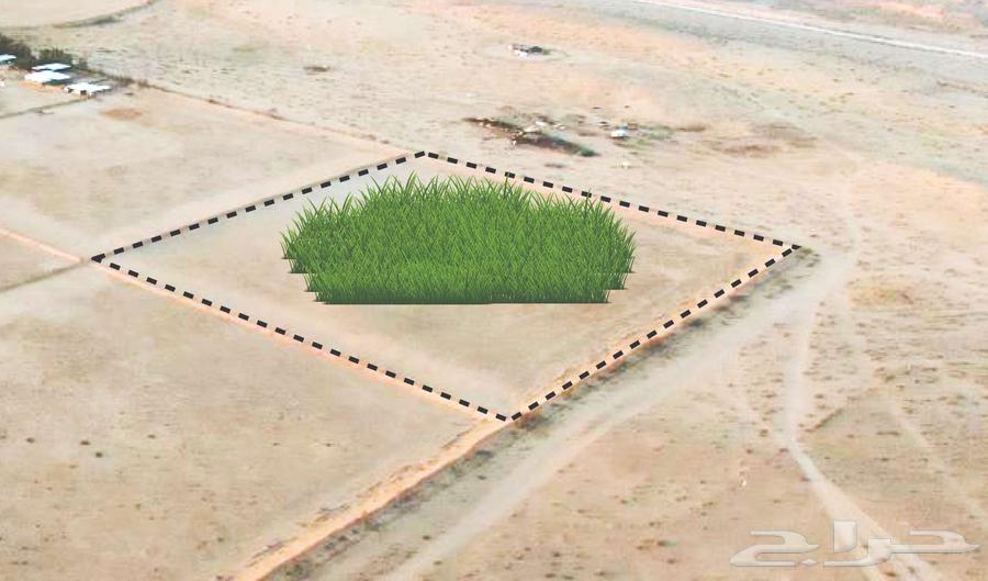 مزرعة للبيع