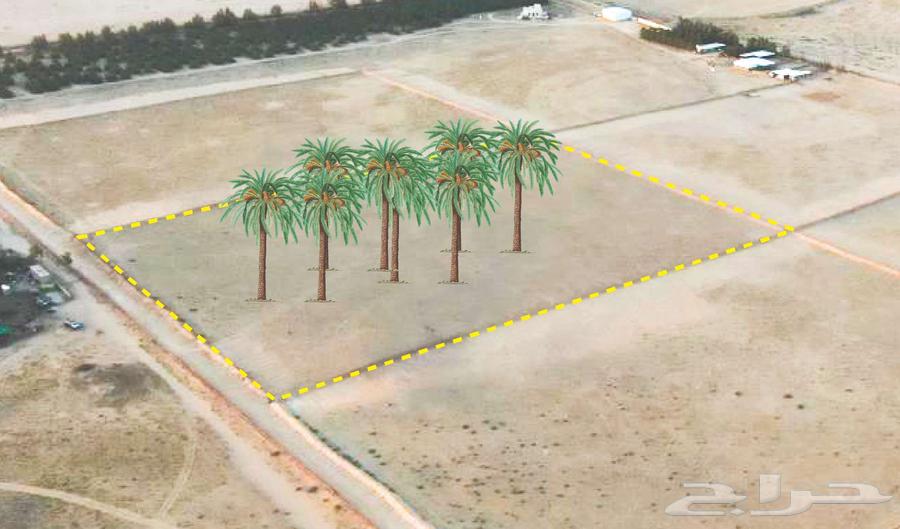 مزرعة للبيع