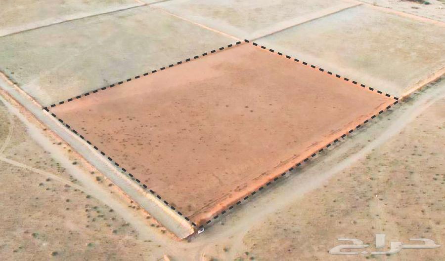 مزرعة للبيع