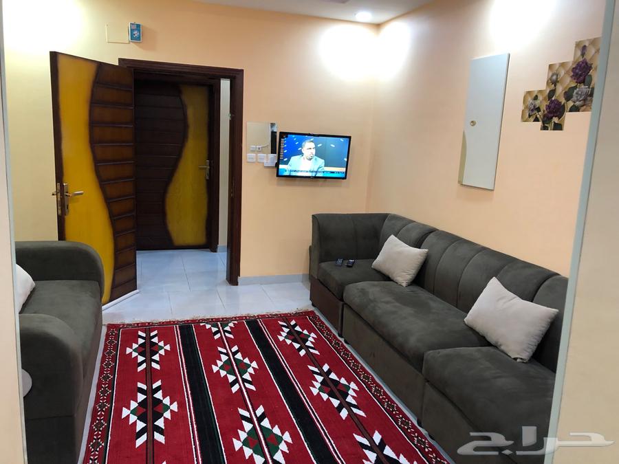 للايجار الشهري شقه مقروشه 3 غرف حي بريمان64423132622465110