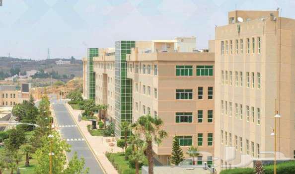 شقة للإيجار