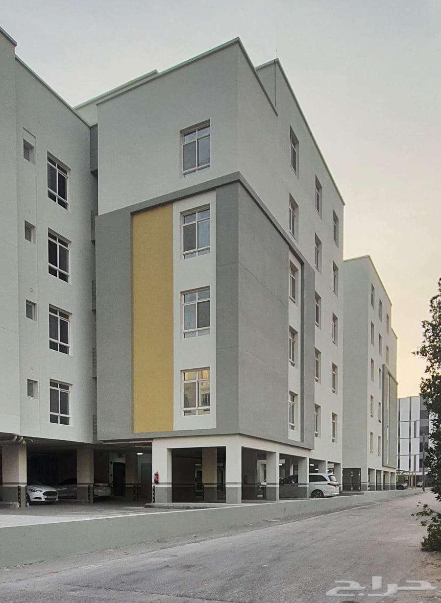 شقة للإيجار