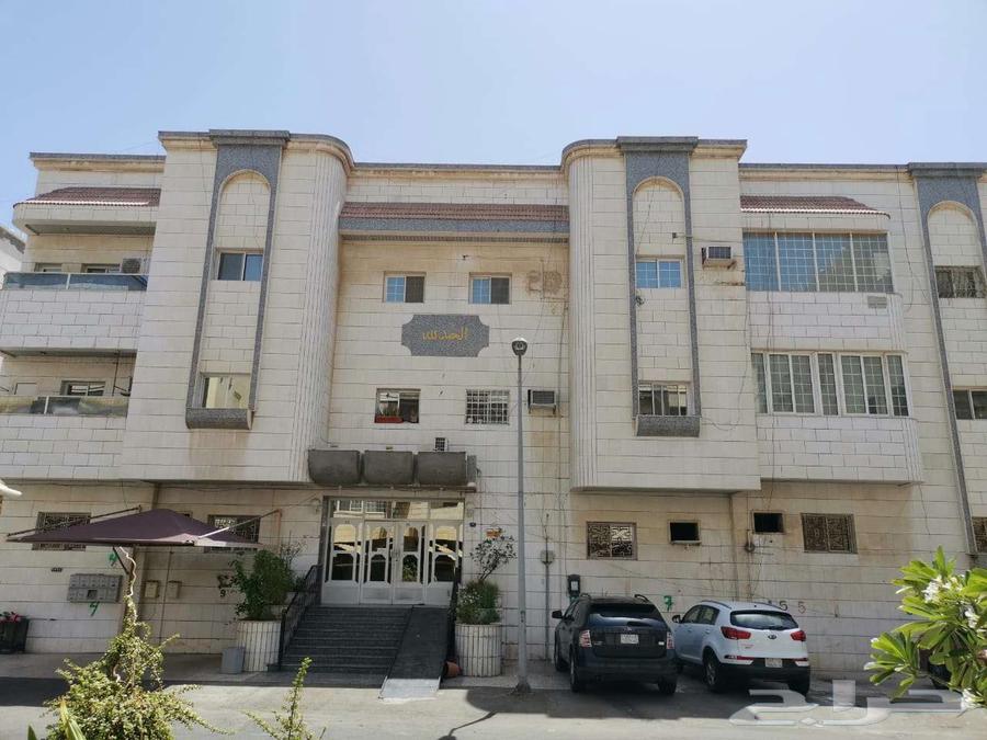 شقة للإيجار