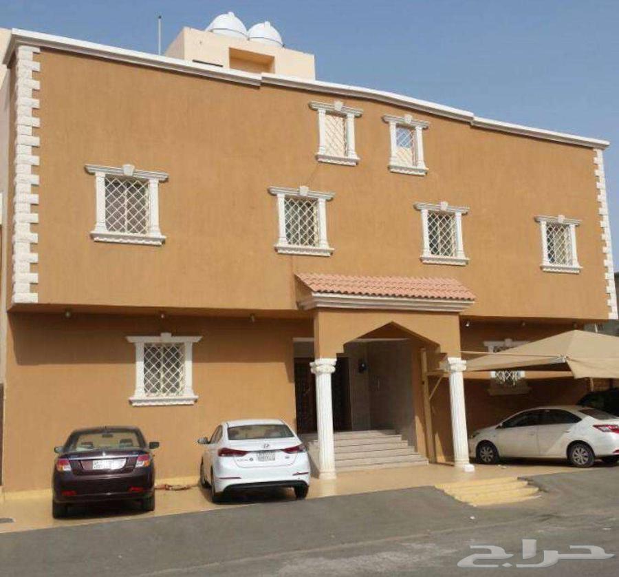 شقة للإيجار