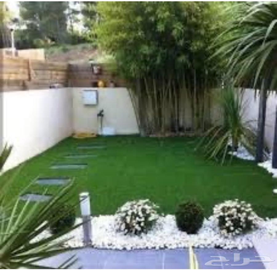 انشاء حدايق وبيع جميع الاشجار الكبير والصغيره64458688721665113