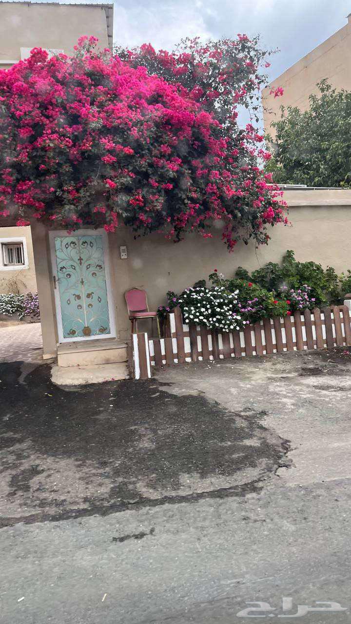 سايق خاص او للمشاوير خاصة64459758737539112