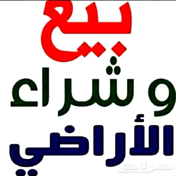 نشتري الاراضي في طيبه الفرعية 606 - 605 - 604 - 598 - 59764458183536258113