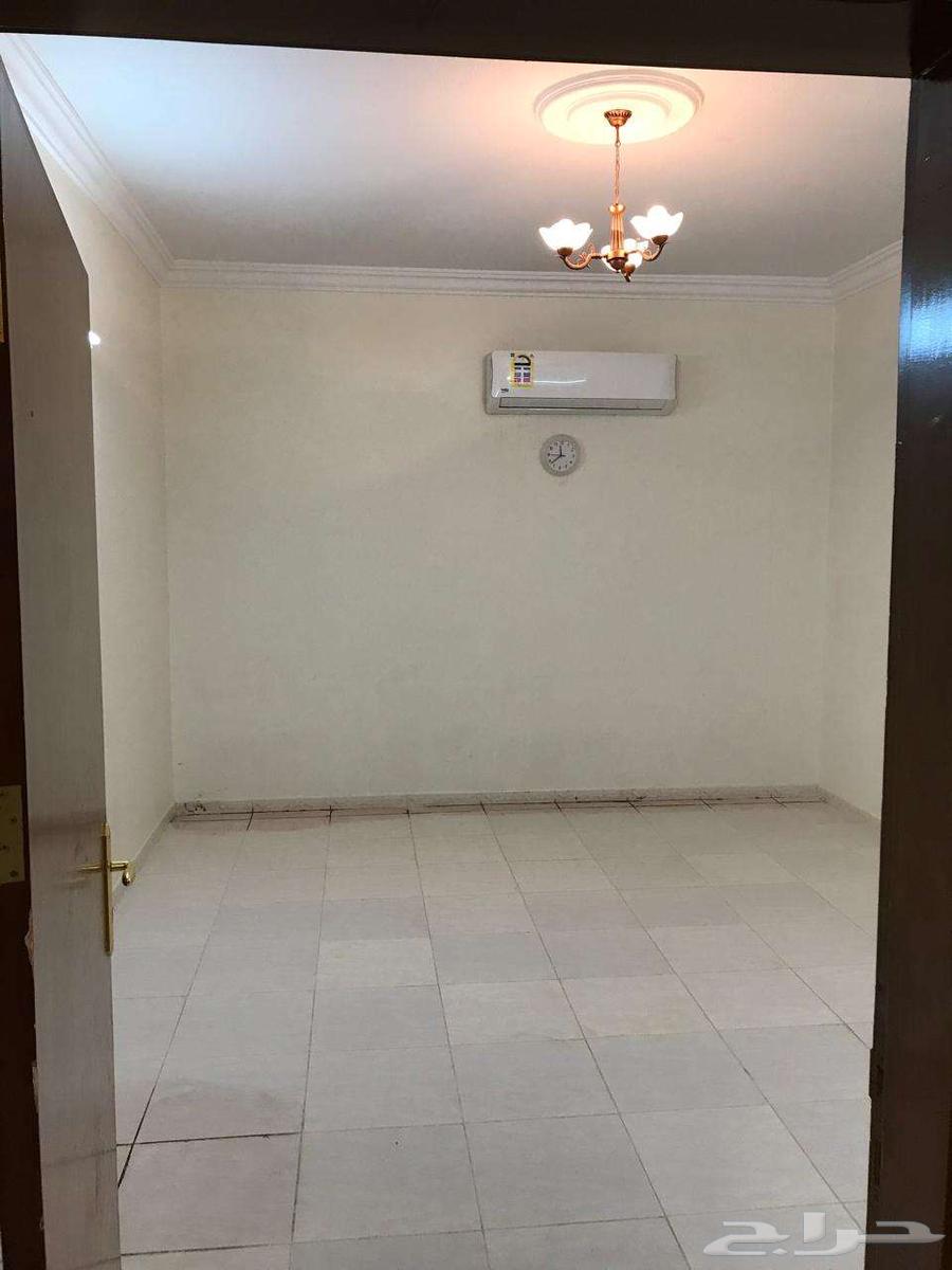 شقة للإيجار