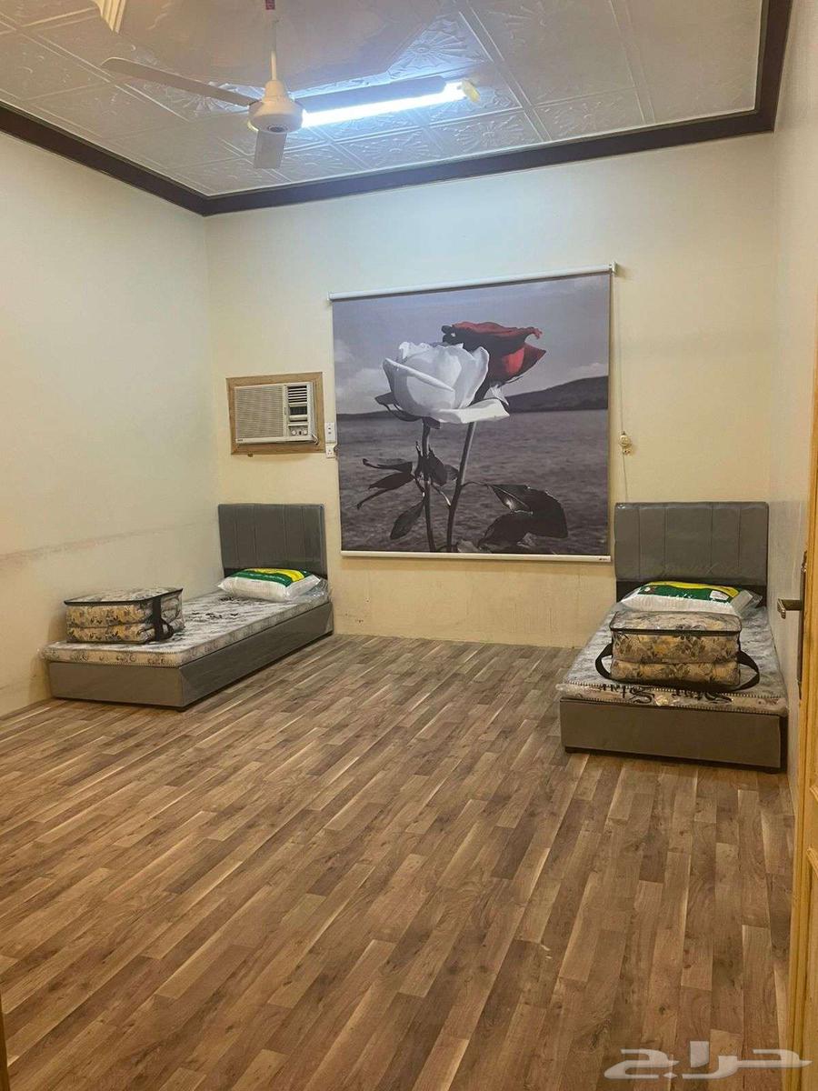 للايجار دور مفروش حي شعب رير64458151836801112