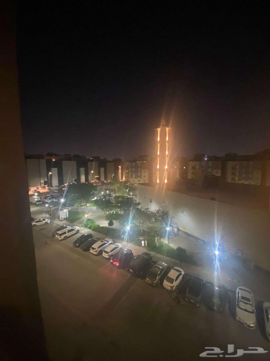 شقة للإيجار