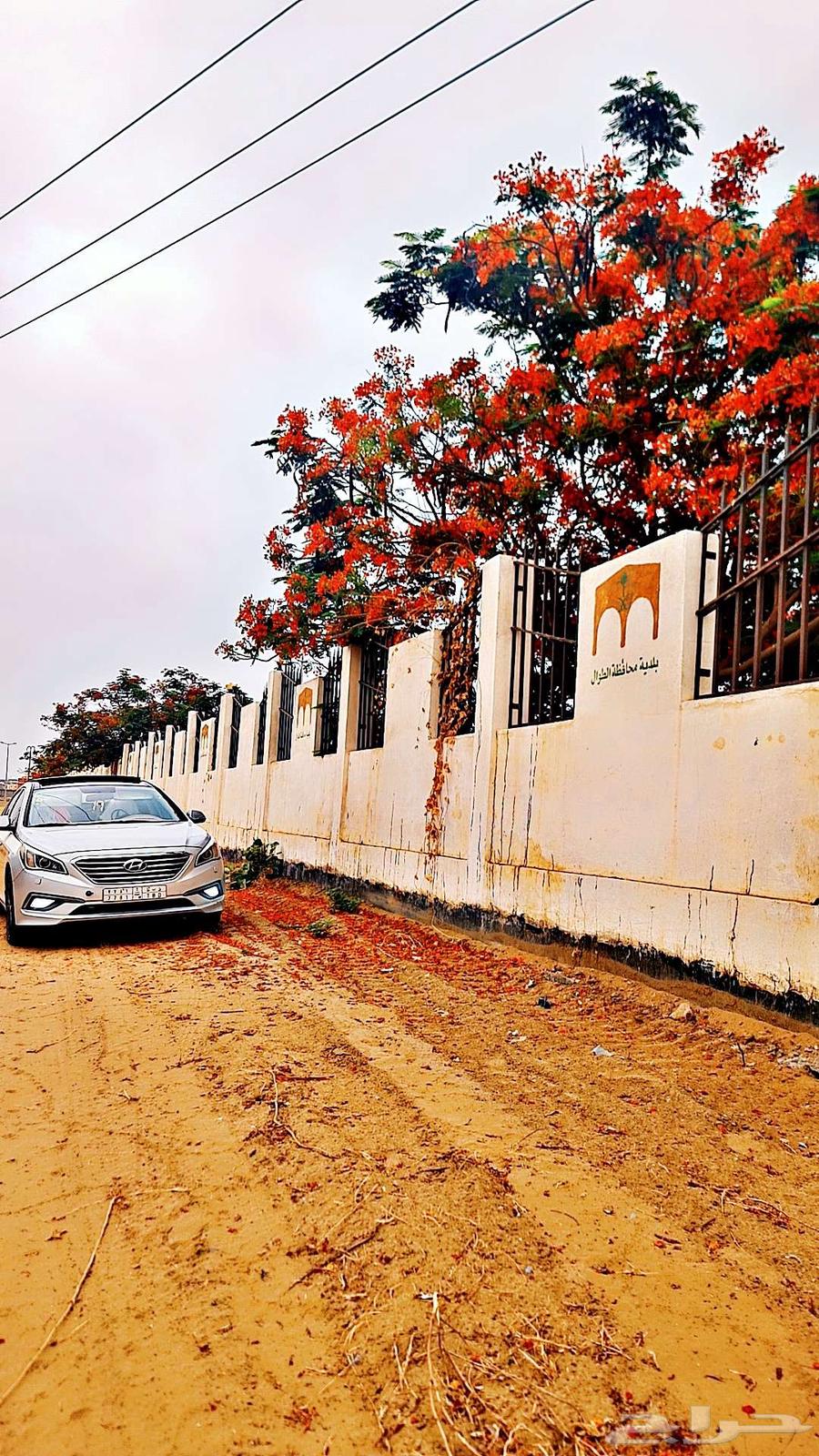 للمشاوير الخاصة أو سائق خاص64459759524099110