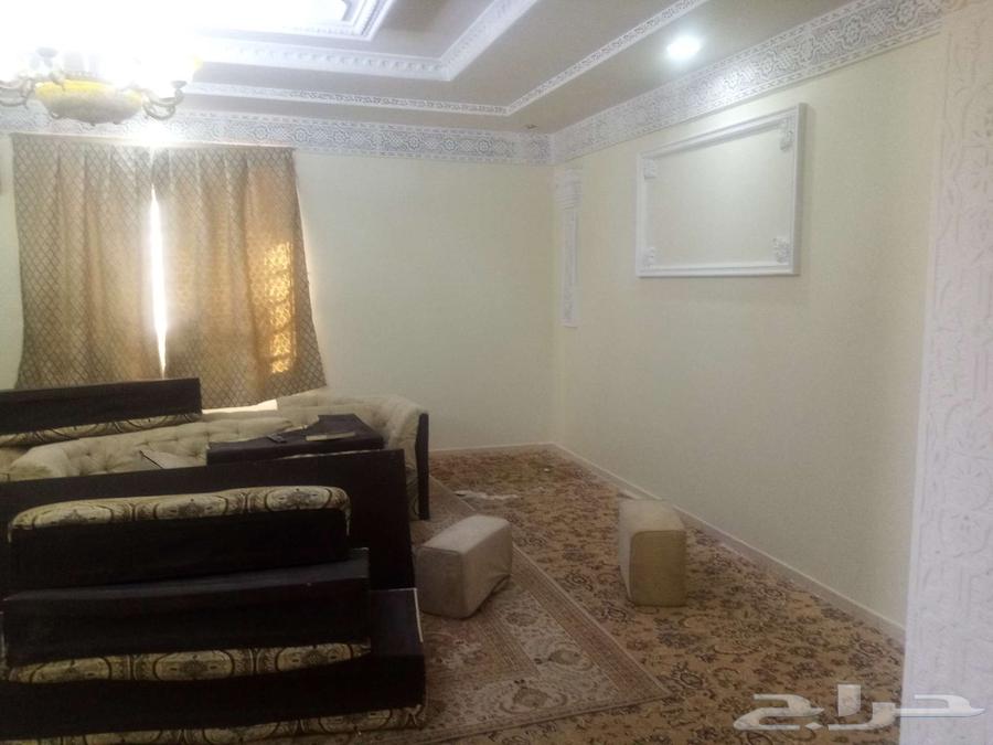 صباغ بويه64459713275779110