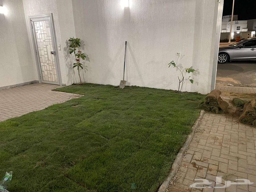 Landscaping and Tree Arrangement64459558052611110