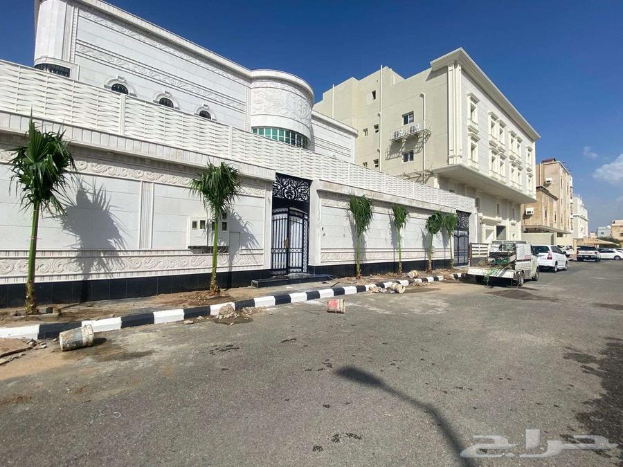 Landscaping and Tree Arrangement64459558052611114