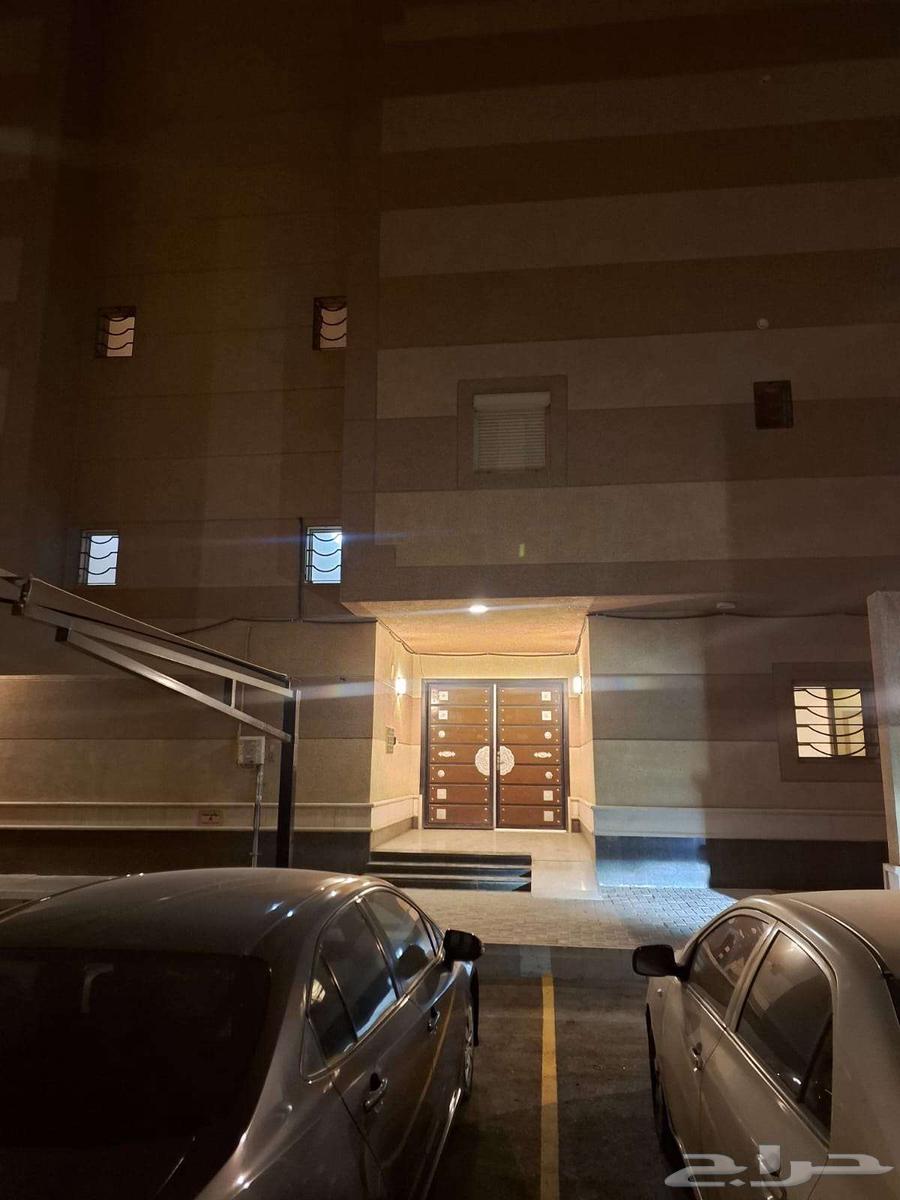 شقة للإيجار