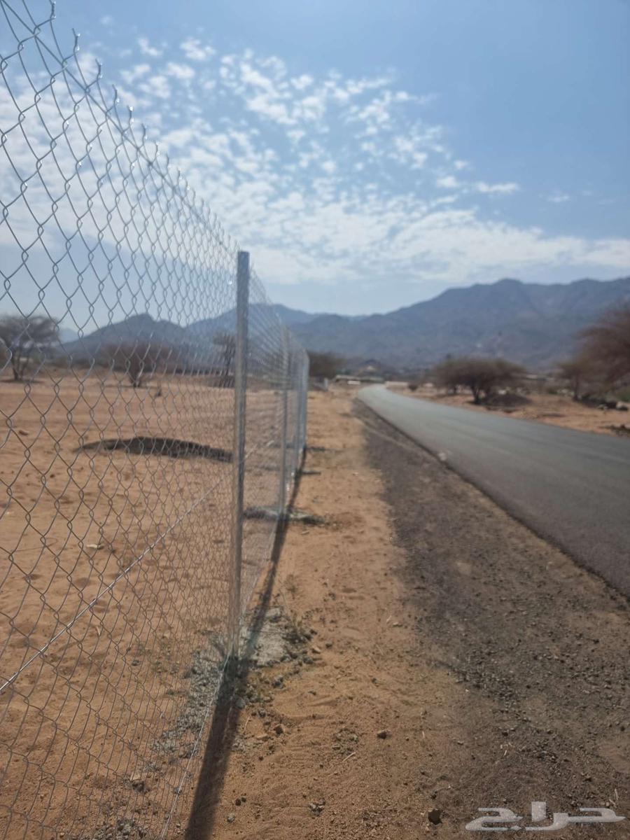 مقول شبوك64473837945475113