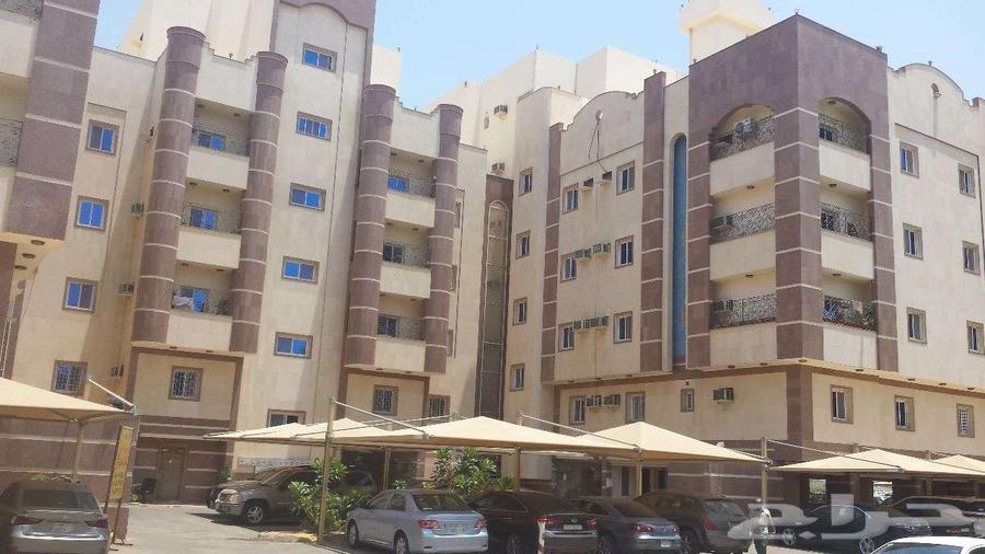 شقة للإيجار