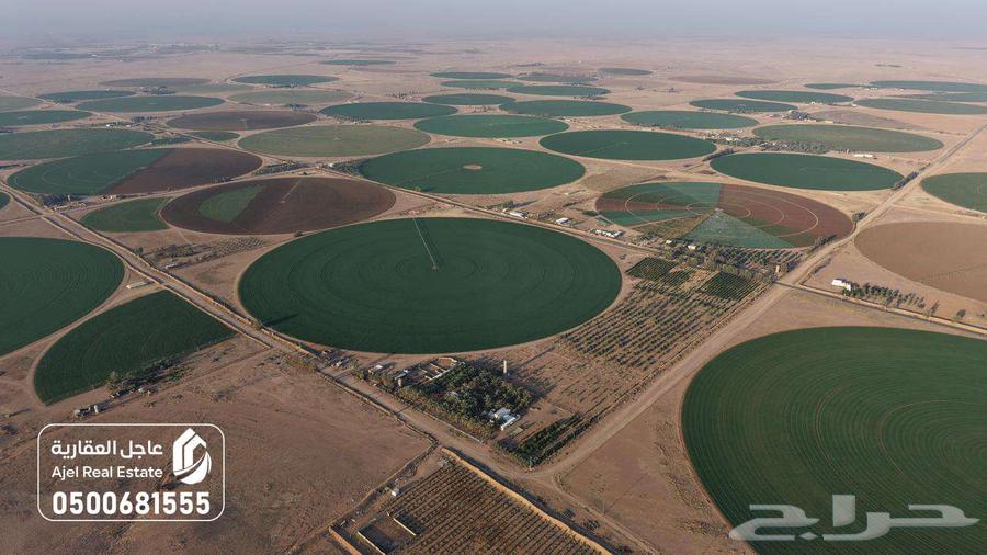 مزرعة للبيع