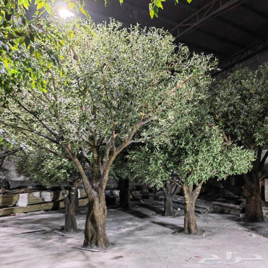 Comprehensive Landscape Services - Implementation and Maintenance with the Highest Quality64473790289154113