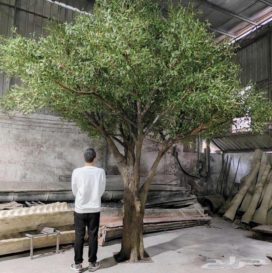 Comprehensive Landscape Services - Implementation and Maintenance with the Highest Quality64473790289154114