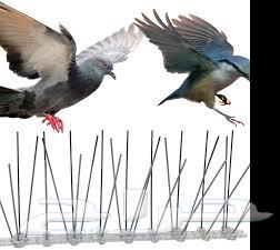 Pigeon repellent installation, pigeon netting installation, bird repellent Jeddah64474218880513111