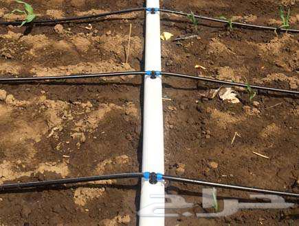 Greenhouses and Automatic Irrigation Networks Construction and Follow-up64474155475330112