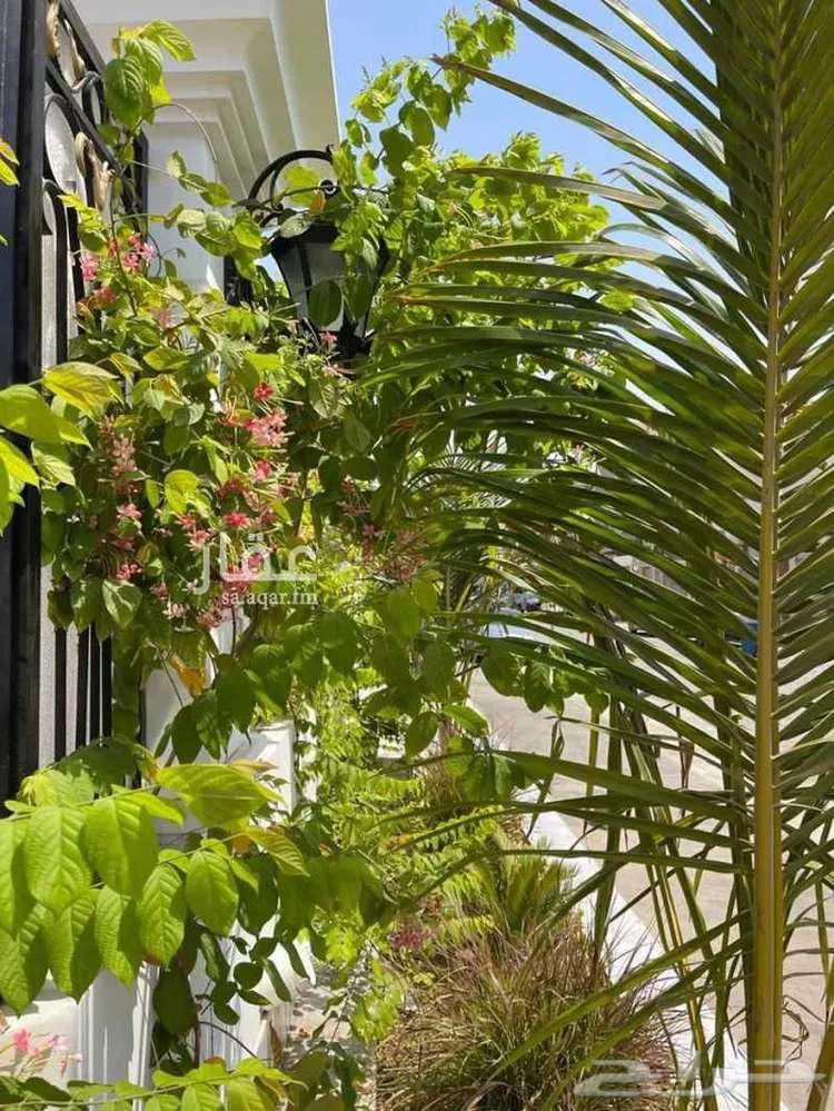 شقة للإيجار