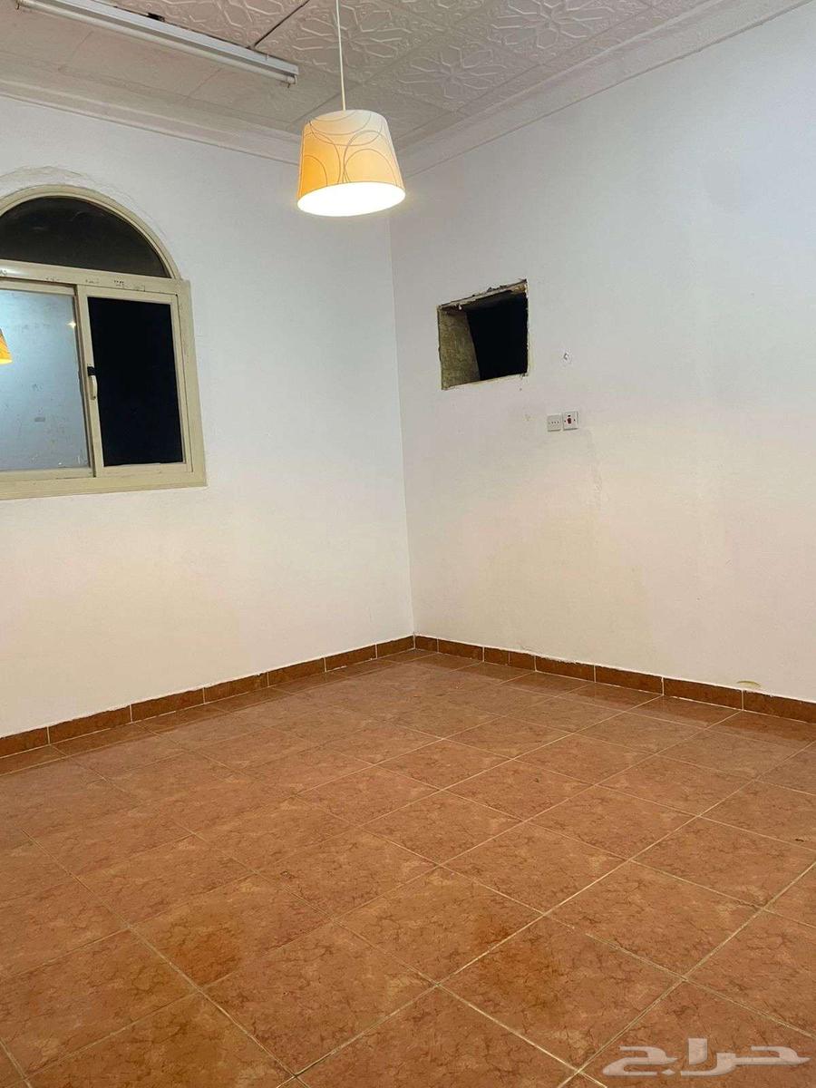 شقة للإيجار