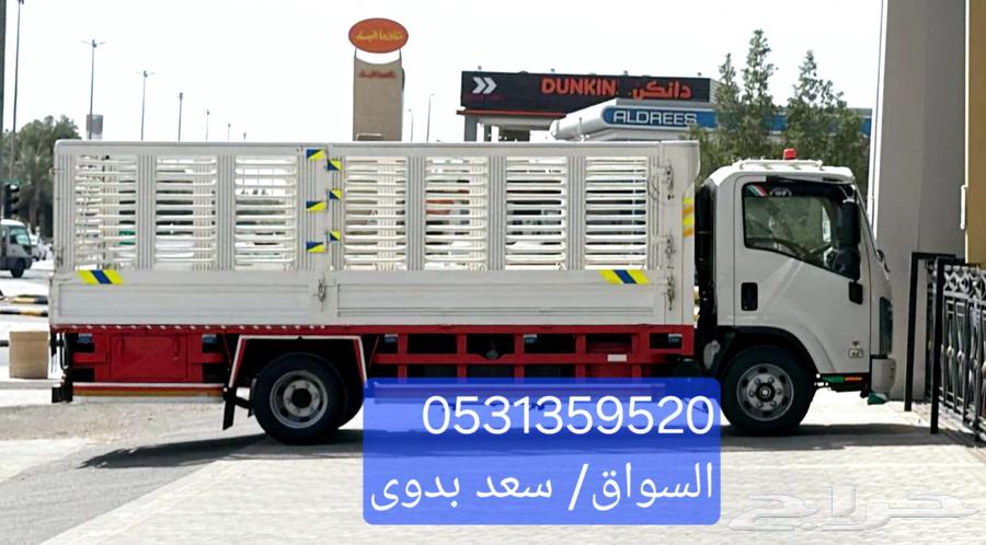 دينا نقل الأغراض داخل وخارج الرياض64474265390338110