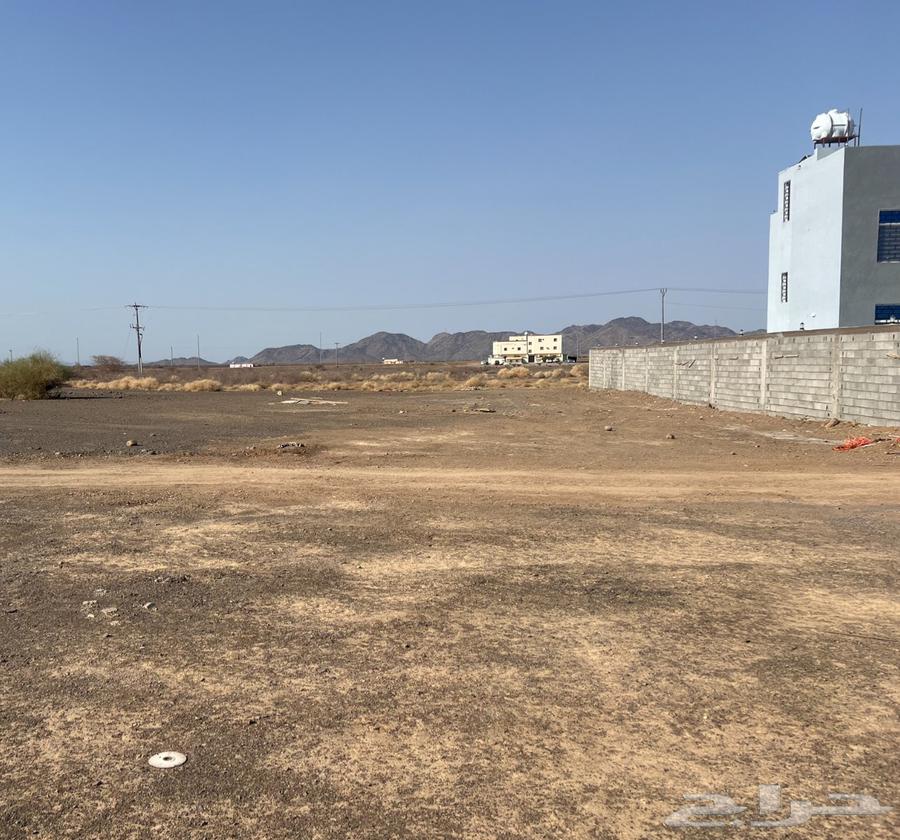 ارض في وادي الفرع ب 47 الف64473996977283110