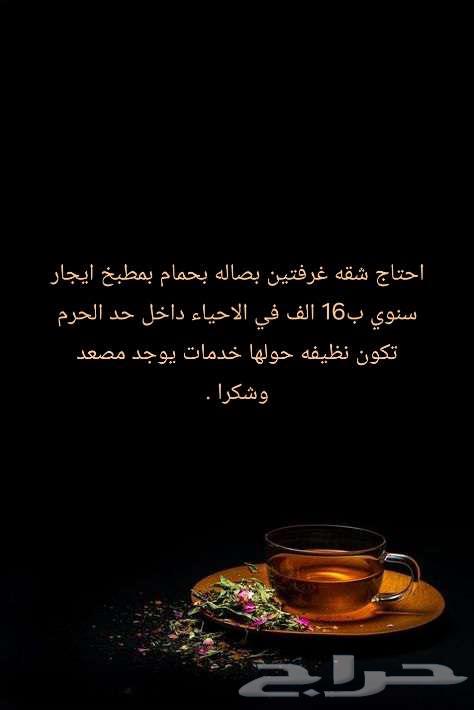 احتاج شقه غرفتين بصاله بحمام بمطبخ ايجار سنوي ب16 الف64481401754883110