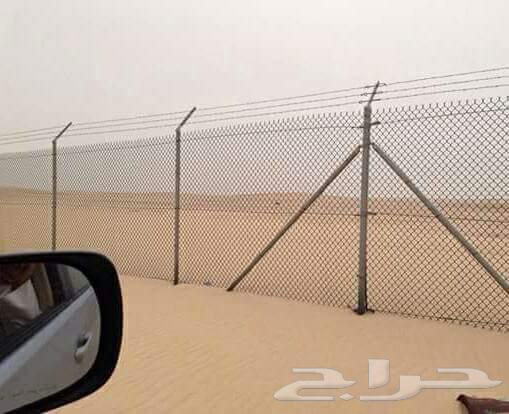 نخيل للبيع خلاص مثمره وسكري وبرحي وواشنطن وتركيب شبوك64481449163523111