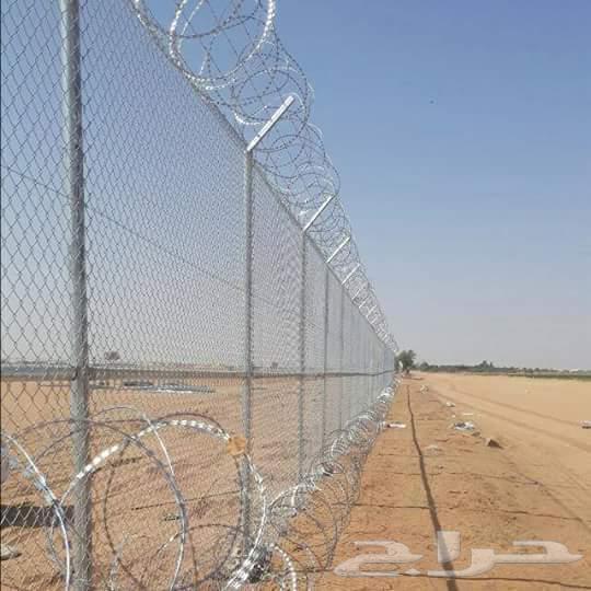 نخيل للبيع خلاص مثمره وسكري وبرحي وواشنطن وتركيب شبوك64481449163523113