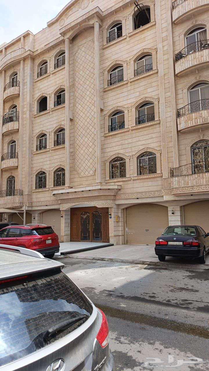 مقاول جده64481448273665114