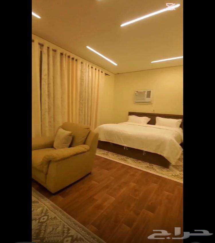 شقَّة صغيرة (استوديو) للإيجار