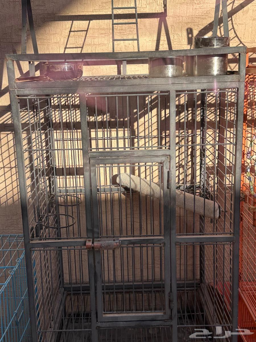 أقفاص طيور مستعملة شبه جديدة64481449222275113
