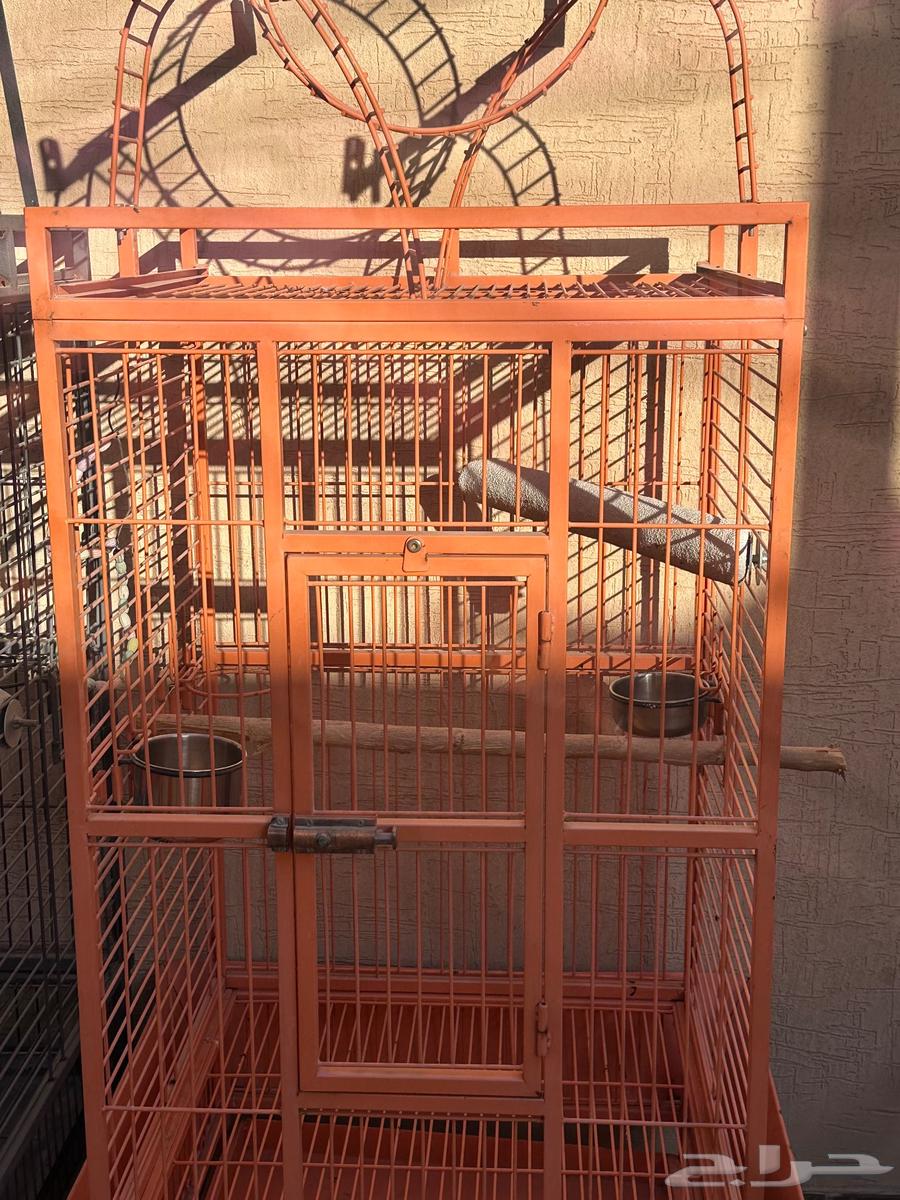 أقفاص طيور مستعملة شبه جديدة64481449222275112