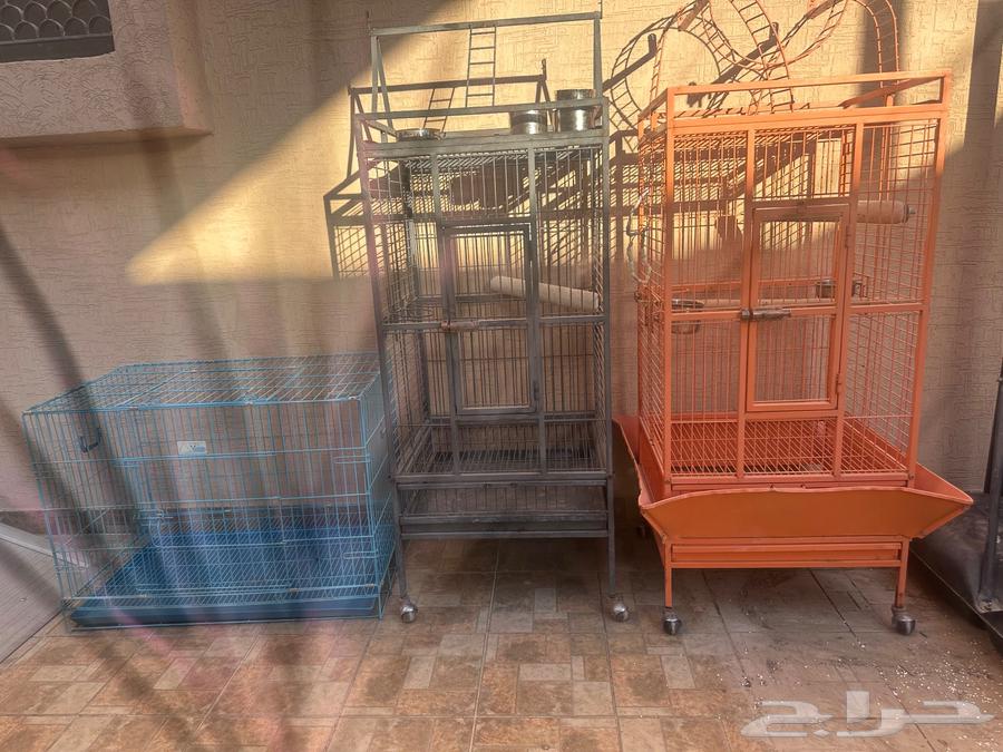 أقفاص طيور مستعملة شبه جديدة64481449222275111