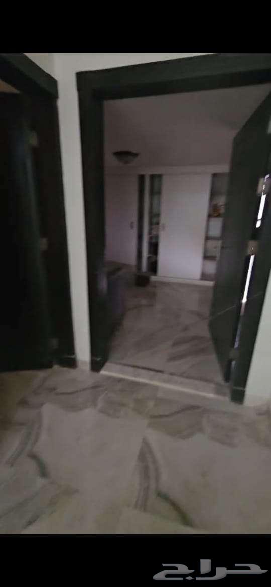 شقة للإيجار