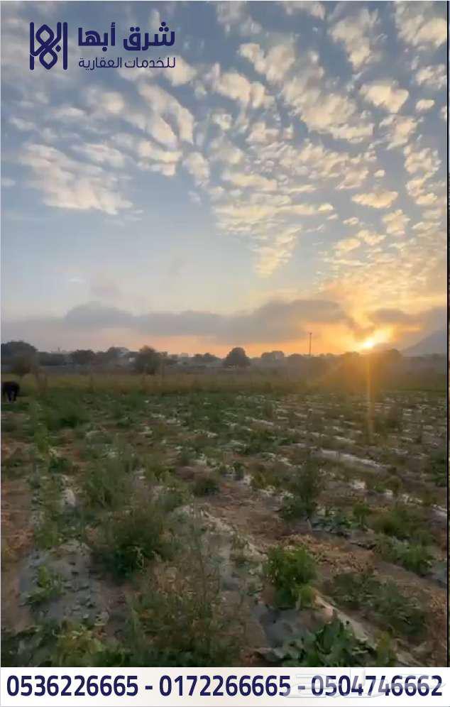 ارض للبيع