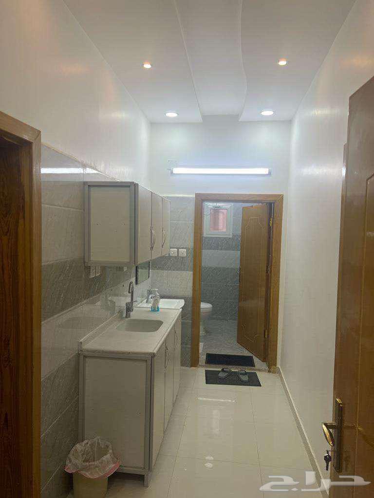 شقة للإيجار