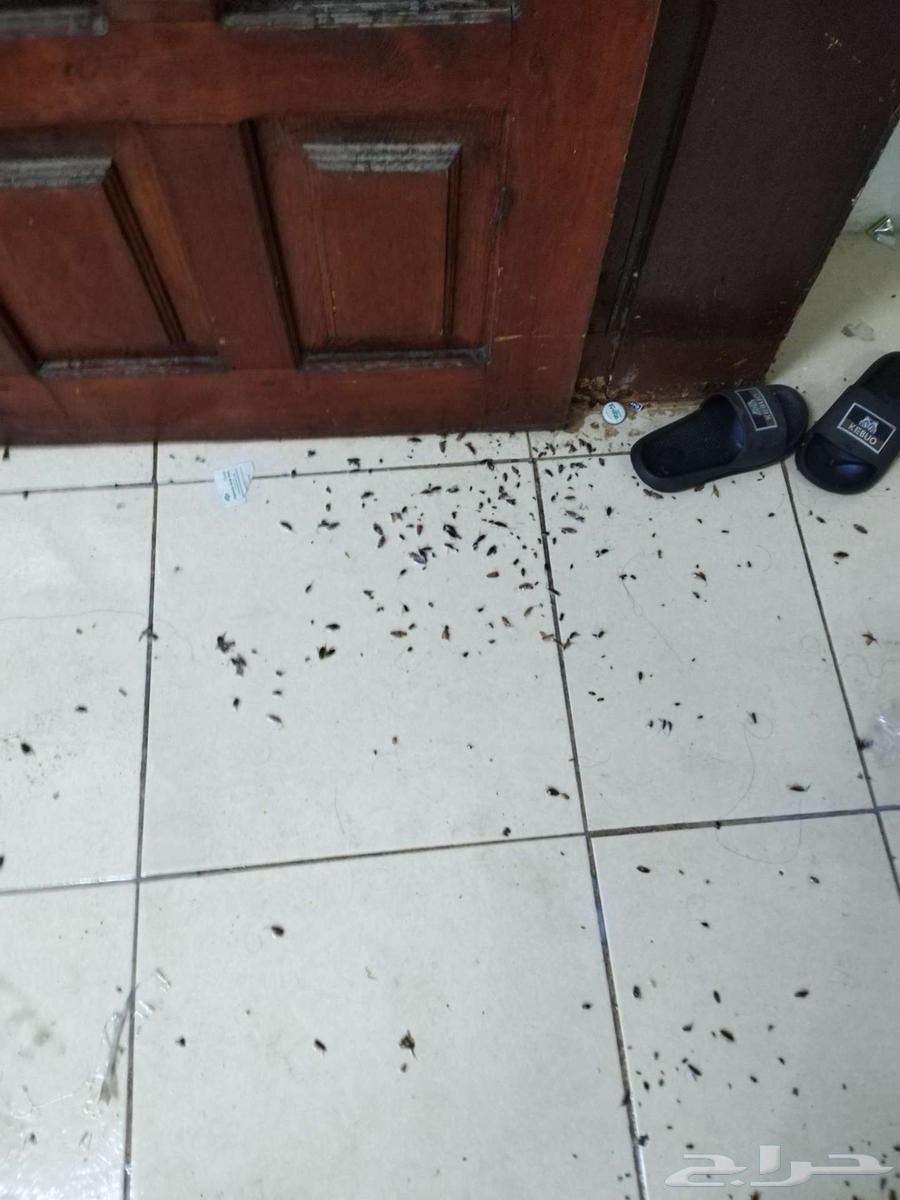 تسليك مجاري تسليك بلوعات تسليك حمام افرنجي وحمام عربي64493674925827110