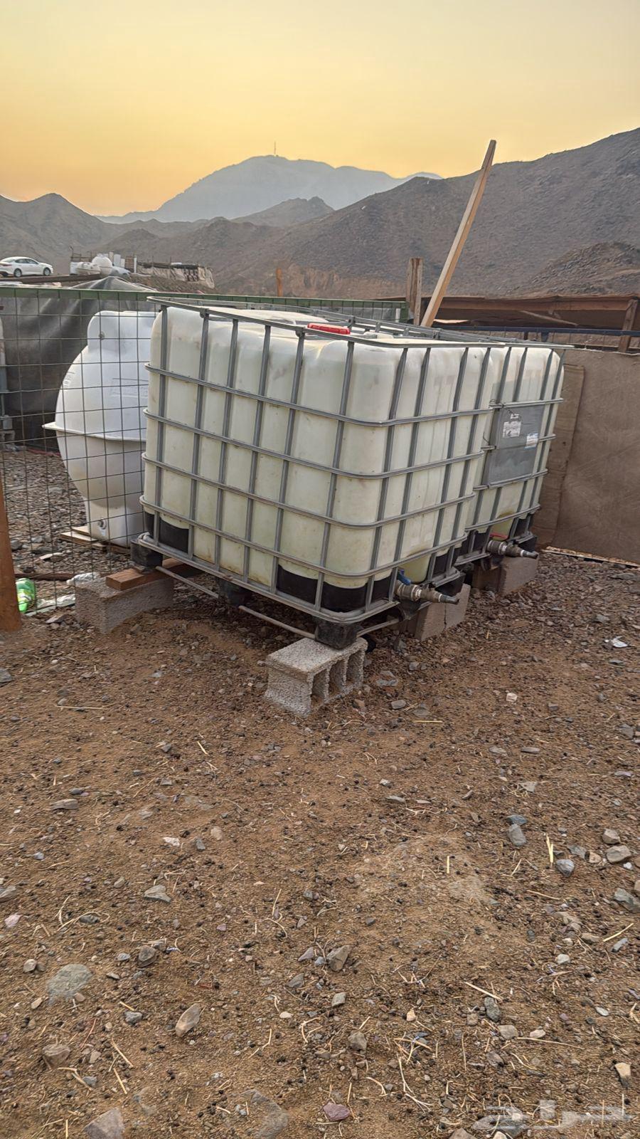 Shabaka Ghaneem and tanks, shades, and feeders for sale64501634261762111