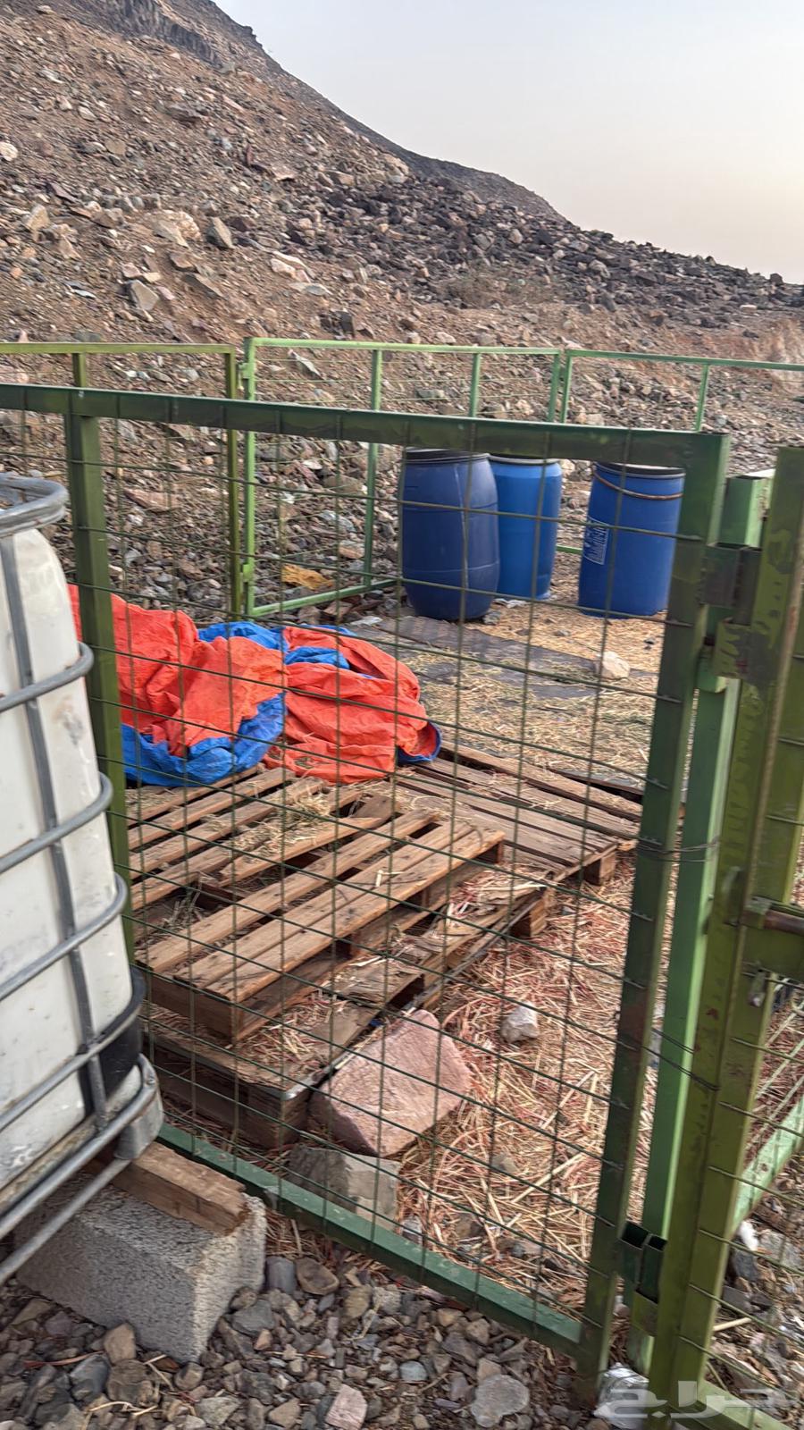 Shabaka Ghaneem and tanks, shades, and feeders for sale64501634261762113